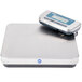 An Edlund stainless steel digital pizza scale on a white surface.