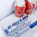 A Polar Tech Re-Freez-R-Brix foam freeze pack with two cans of soda on a white bag.
