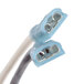 A pair of white and blue cables with a white background, one with a white and black pipe connector and one with a blue cable connector.