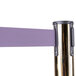 A brass Aarco crowd control stanchion with dual purple retractable belts.