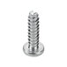 A close-up of a Waring ground screw with a metal head.