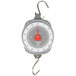 A Taylor industrial hanging utility scale with a metal hook.