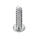 A close-up of a metal screw with a plastic head.