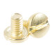 A close-up of two gold screws on a white background.
