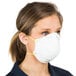 Harmful Dust N-95 Particulate Respirator - 20/Box Main Thumbnail 2