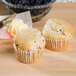 5 lb. Blueberry Muffin Mix - 6/Case Main Thumbnail 1