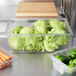 A Rubbermaid clear polycarbonate food storage box of carrots and lettuce on a counter.