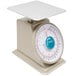 A Taylor heavy duty mechanical portion scale with a white surface and blue top.
