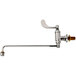 A T&S chrome wall-mounted pot filler faucet with a wrist handle and swing nozzle.