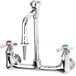 A T&S chrome laboratory faucet with 4-arm handles and green buttons.