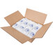 A white cardboard box filled with white Polar Tech packages with blue Ice Brix packages.