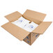 A cardboard box with white Polar Tech Ice Brix bags inside.