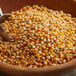 A bowl of Carnival King extra large mushroom popcorn kernels.