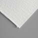 A white sheet of Pitco envelope style filter paper.
