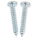 A close-up of two screws on a white background used to secure an Aarco Satin Aluminum Snap Frame.