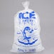 A clear plastic Choice ice bag with an ice print of a cartoon penguin.