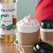 Monin 750 mL Premium Peppermint Flavoring Syrup Main Thumbnail 1