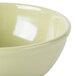 A white melamine bowl with a green rim.