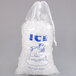20 lb. Clear Plastic Drawstring Ice Bag with Polar Bear Graphic - 250/Case Main Thumbnail 1