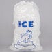 A clear plastic drawstring ice bag with a polar bear logo.