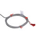 A grey cable with red and white wires.