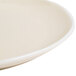 An Arcoroc Canyon Ridge porcelain plate with a small rim.
