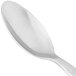 A close-up of a 10 Strawberry Street stainless steel dinner spoon with a white handle.