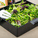 A salad in a black Tablecraft melamine bowl with a fork.