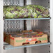 Avantco SS-1R-HC 29" Stainless Steel Solid Door Reach-In Refrigerator Main Thumbnail 6