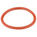 An orange rubber o-ring with a red circle on a white background.