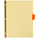 A yellow file with Avery Buff paper dividers with orange tabs.
