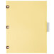 A yellow file folder with Avery clear tab dividers in it.