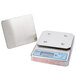 An Edlund stainless steel digital portion scale with a metal plate.
