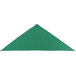 A green triangle shaped bandana.