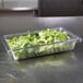 A Rubbermaid clear polycarbonate food storage container filled with lettuce on a counter.