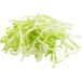 A pile of shredded cabbage on a white background.