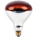 A close-up of a Lavex red coated infrared heat lamp light bulb with a red cap.