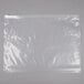 Plastic Food Bag 14" x 11" Slide Seal - 250/Case Main Thumbnail 1
