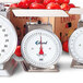 An Edlund HD-50P produce scale on a counter with tomatoes in the cradle.