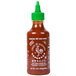 Huy Fong 9 oz. Sriracha Hot Chili Sauce Main Thumbnail 2