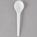 A white compostable plastic soup spoon with a white handle.