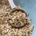 A spoonful of Regal fennel seeds in a bowl.