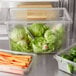 A Rubbermaid clear polycarbonate food storage box filled with carrots.