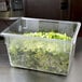 A Rubbermaid clear polycarbonate food storage box filled with lettuce on a black surface.