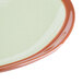 A close up of a Libbey terracotta fern green plate with brown accents.