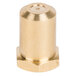 A gold metal cylinder with a brass threaded nut on the end.