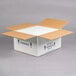 Polar Tech Thermo Chill Insulated Shipping Box with Foam Container 12" x 10" x 5" Main Thumbnail 3