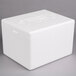 Polar Tech Thermo Chill Insulated Shipping Box with Foam Container 8" x 6" x 4 1/4" Main Thumbnail 5