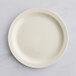 Choice 9 3/4" Ivory (American White) Narrow Rim Stoneware Plate - 24/Case Main Thumbnail 3