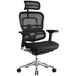 Eurotech Seating ME22ERGLT-N15 Ergoelite Black Mesh High Back Synchro Tilt Office Chair Main Thumbnail 1